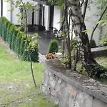 Apartamenty Willa Nimfa شكلارسكا بوريبا
