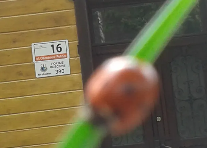 Willa Nimfa Apartamenty Z Aneksami * Szklarska Poreba