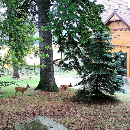 Willa Nimfa Apartamenty rodzinne również pensjonat na wyłączność *