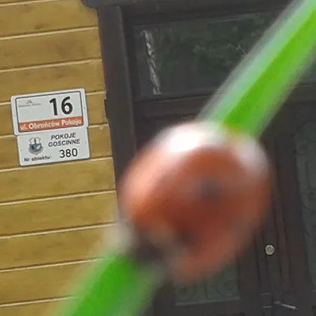 Willa Nimfa Apartamenty rodzinne również pensjonat na wyłączność * Szklarska Poręba