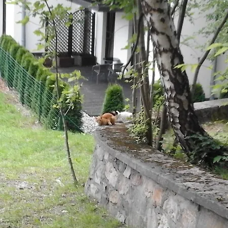 Willa Nimfa Apartamenty rodzinne również pensjonat na wyłączność Szklarska Poręba