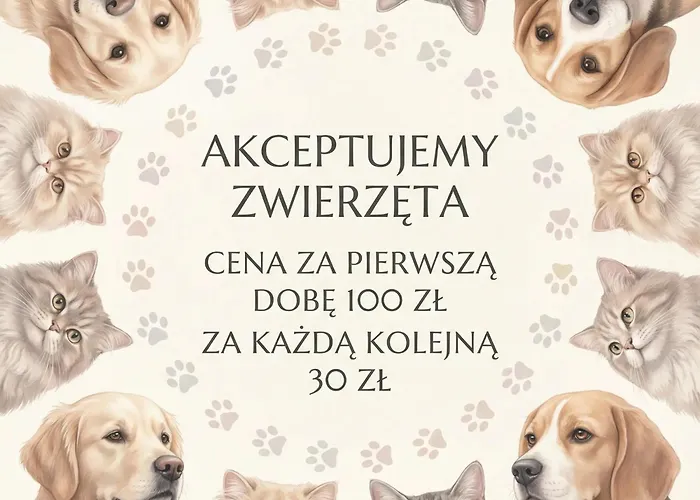 Apartamenty W Willi Nimfa アパート